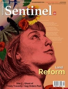 Watershed Sentinel cover: March/April 2017 Land Reform; drawing of a woman looking up with a headdress of rows in a field and a farmer and flowers