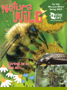 NatureWILD. For kids who love nature. Spring 2023. Nature Kids BC. www.naturekids.bc.ca Spring is in the air! Insects on the cover: bee on flower, dragonfly, beetle.