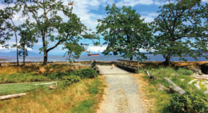 Saysutshun Island. Photo credit: Christopher Babcock.Gravel road and wooden bridge among trees, sea and tanker ship in background, dog in distance on road.