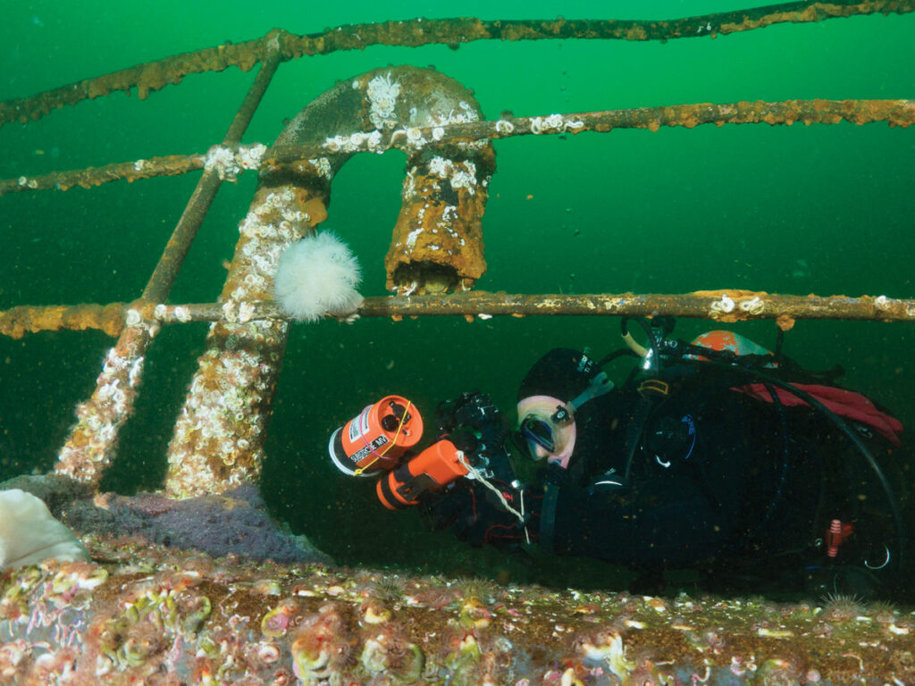 Sean Percy photographs a cluster of cabezon eggs Photo by W.L. McKinnon