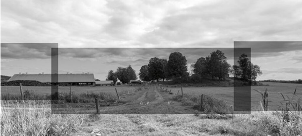 Black and white image with transparent overlay: rural path between fields with fencing, trees in the distance