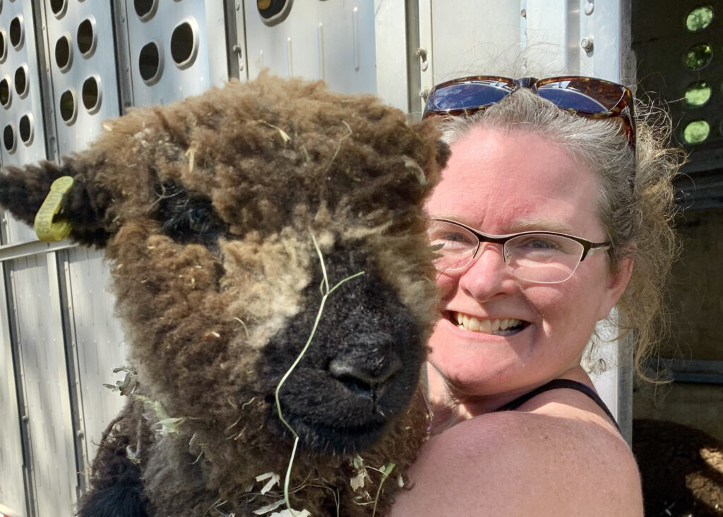 Portrait or woman with glasses and sunglasses on her head, smiling, while holding a brown sheep close to the camera