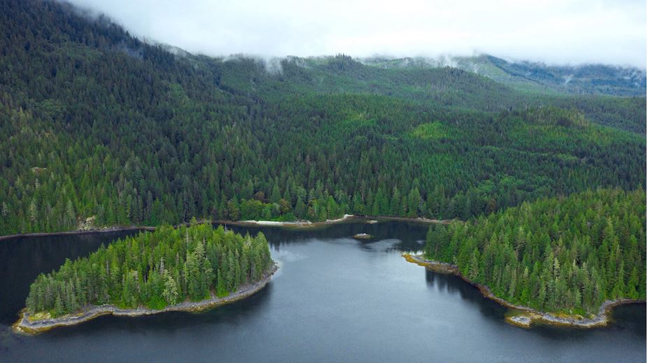 Bird's eye view of water channel with green, forested land and small island in left foreground