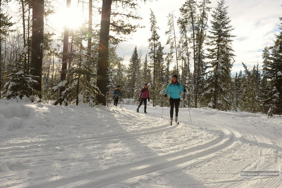 three cross-country skiers moving on a wide, open, snow-covered path through a forested area