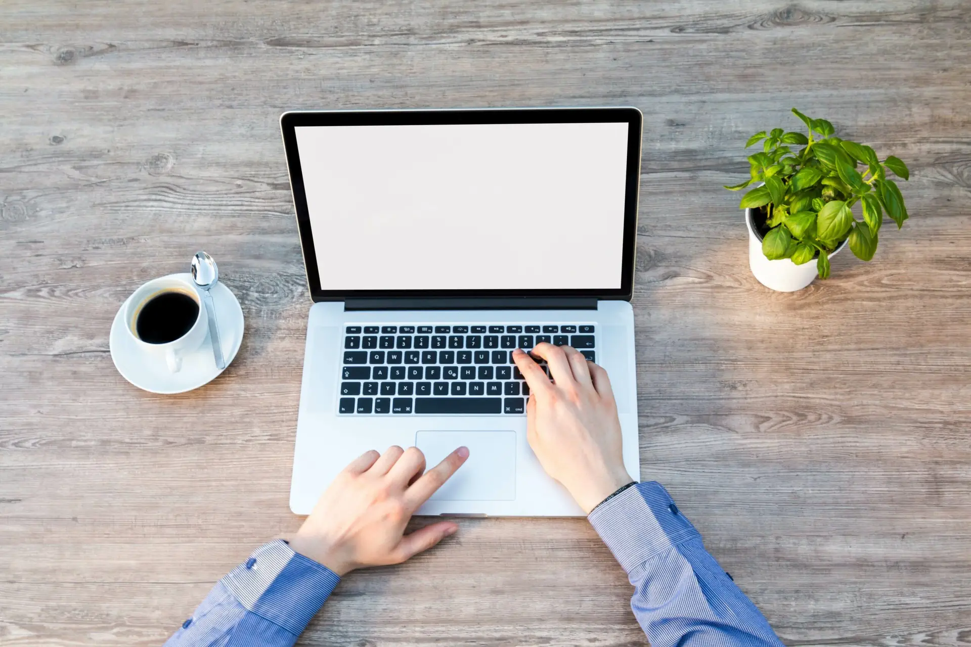 shirt sleeve arms and hands on a laptop keyboard with a blank screen, coffee cup on left, potted plant on right
