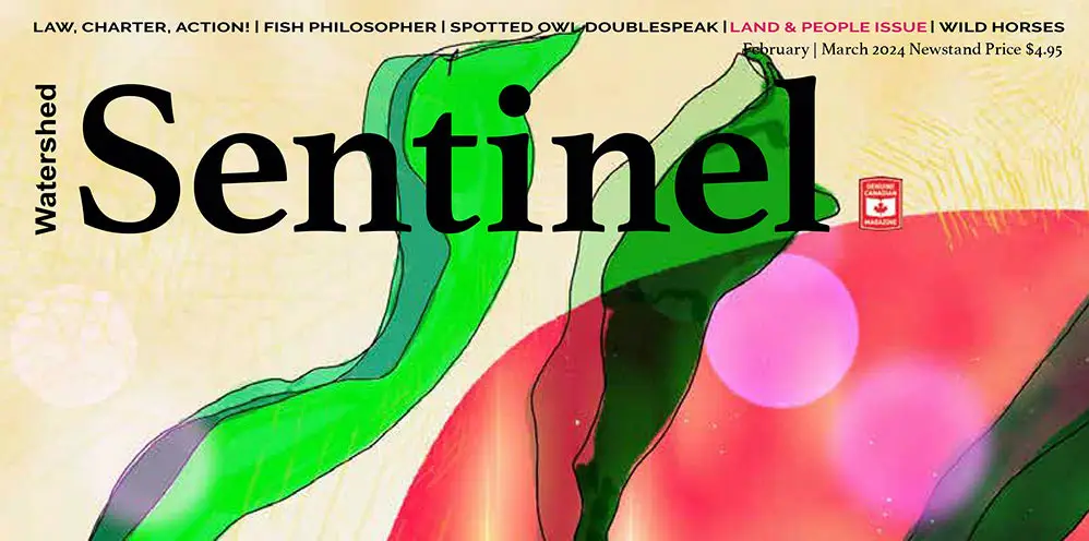 Watershed Sentinel Feb-Mar 2024 cover cropped
