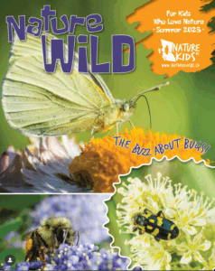 NatureWILD cover Summer 2025: The buzz about bugs
