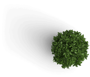 Magazine Association of BC Slider top view of a small topiary